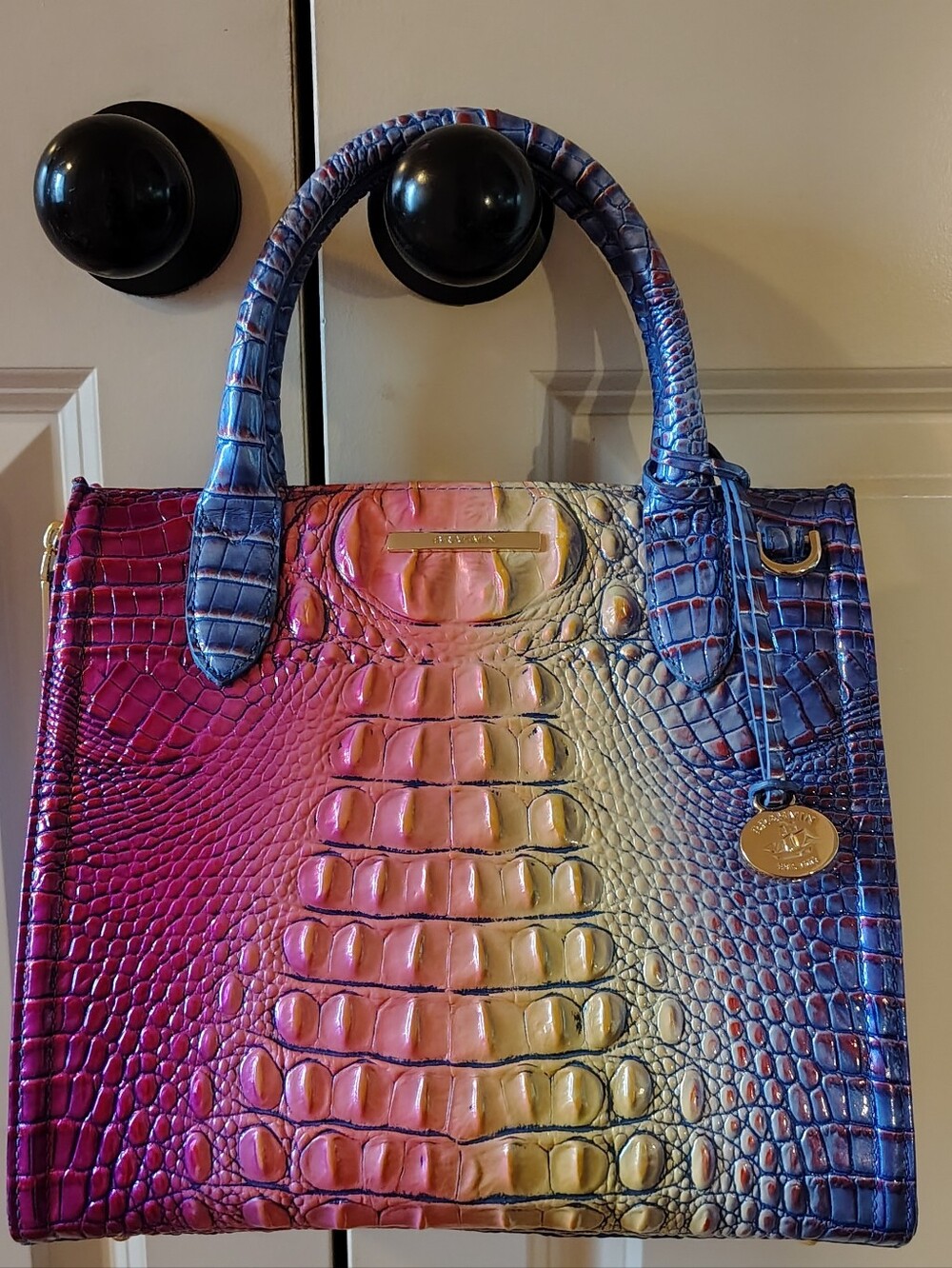 Brahmin Dreamer Ombre Small Caroline Satchel